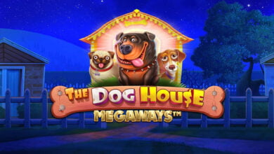 The Dog House Megaways Huge Win